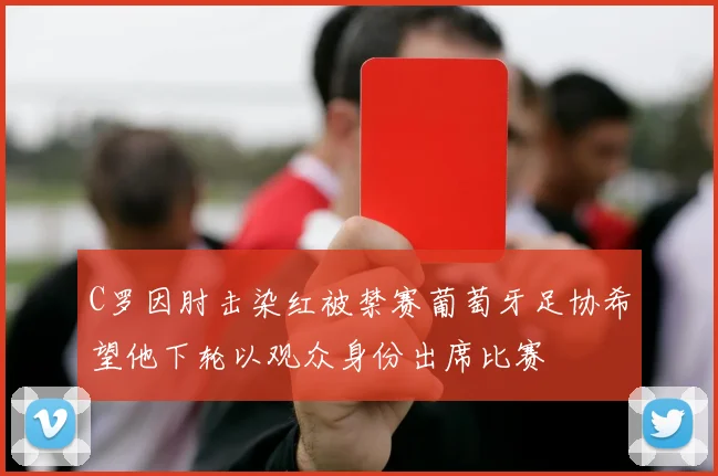 C罗因肘击染红被禁赛葡萄牙足协希望他下轮以观众身份出席比赛