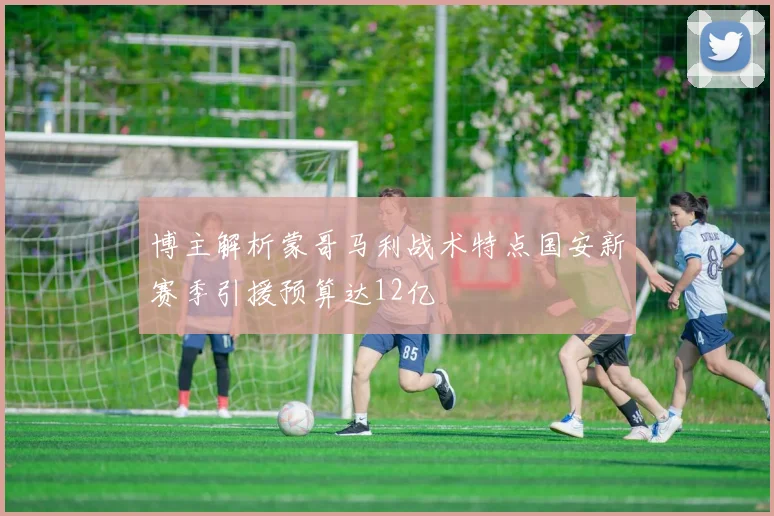 博主解析蒙哥马利战术特点国安新赛季引援预算达12亿