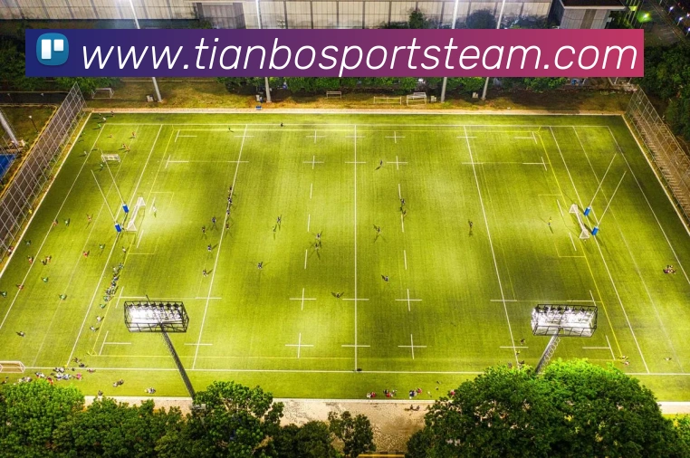 多媒体互动体验